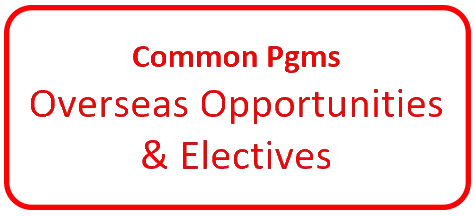 Comm Pgms -rounded